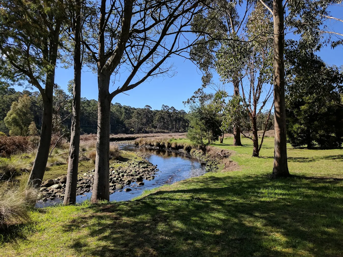 Snug Beach Cabin & Caravan Park - 2